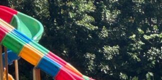 Orrore in pubblico: uccide e cucina un gatto nel parco, denunciato