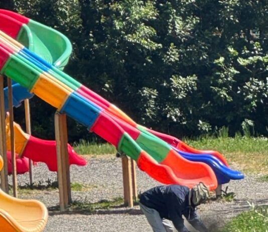 Orrore in pubblico: uccide e cucina un gatto nel parco, denunciato