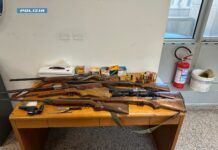 Spaccio di droga e armi illegali: arresto e denuncia dopo perquisizione