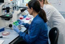 Tumore al seno: dalla Calabria una nuova speranza con il riposizionamento farmacologico