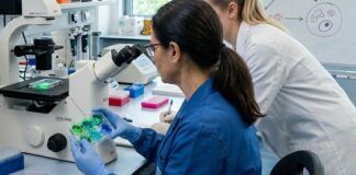 Tumore al seno: dalla Calabria una nuova speranza con il riposizionamento farmacologico