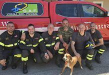 Uomo finisce in un dirupo per salvare il cane: intervento dei Vigili del Fuoco