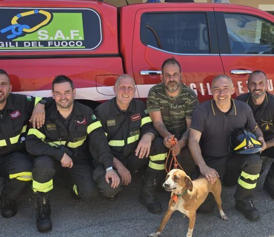 Uomo finisce in un dirupo per salvare il cane: intervento dei Vigili del Fuoco