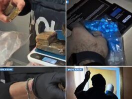 Polizia di Stato, maxi operazione nazionale: 1335 arrestie oltre 450 kg di droga sequestrati