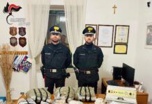 Blitz dei Carabinieri: sequestrate droga e armi clandestine, un arresto