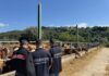 Blitz dei Carabinieri contro il caporalato: scoperti lavoratori in nero e alloggi di fortuna in un’azienda agricola