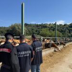 Blitz dei Carabinieri contro il caporalato: scoperti lavoratori in nero e alloggi di fortuna in un’azienda agricola