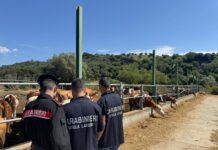 Blitz dei Carabinieri contro il caporalato: scoperti lavoratori in nero e alloggi di fortuna in un’azienda agricola