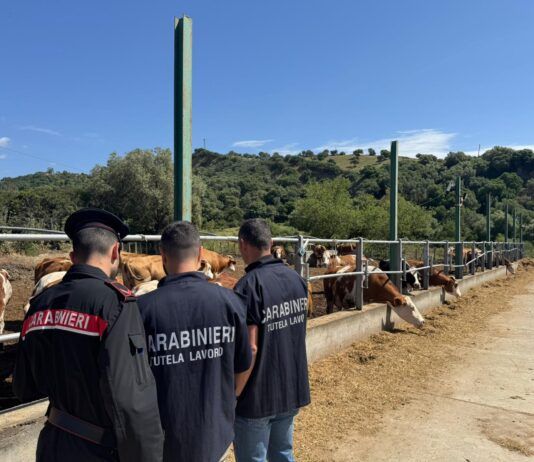 Blitz dei Carabinieri contro il caporalato: scoperti lavoratori in nero e alloggi di fortuna in un’azienda agricola