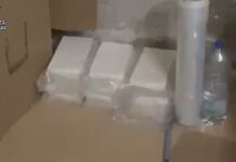 Traffico internazionale di cocaina, blitz tra Roma e Calabria: sgominata rete da 800 kg l’anno