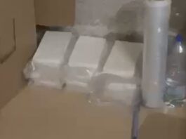 Traffico internazionale di cocaina, blitz tra Roma e Calabria: sgominata rete da 800 kg l’anno