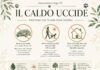 Caldo e animali domestici, i consigli dell’associazione Argo per proteggere cani e gatti