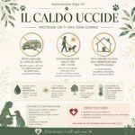 Caldo e animali domestici, i consigli dell’associazione Argo per proteggere cani e gatti