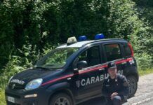I Carabinieri Forestali salvano cinque cuccioli nel Parco Nazionale dell’Aspromonte