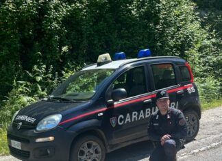 I Carabinieri Forestali salvano cinque cuccioli nel Parco Nazionale dell’Aspromonte
