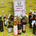 Olio calabrese, patrimonio da proteggere: Coldiretti Calabria chiede controlli anti-frode e stop a trafficanti e sottocosto