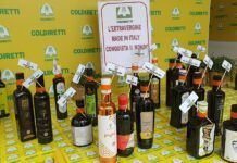 Olio calabrese, patrimonio da proteggere: Coldiretti Calabria chiede controlli anti-frode e stop a trafficanti e sottocosto