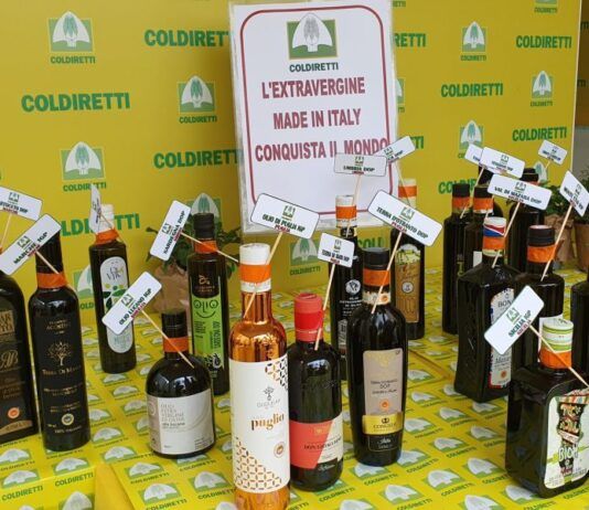 Olio calabrese, patrimonio da proteggere: Coldiretti Calabria chiede controlli anti-frode e stop a trafficanti e sottocosto