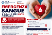 Emergenza sangue a Reggio Calabria: il G.O.M. lancia un appello urgente ai cittadini