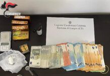 Droga e contanti nascosti in casa: arrestato 30enne, sequestrati hashish, cocaina e 35mila euro