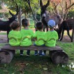 Coldiretti Calabria: la campagna apre alle famiglie domenica l’Open Day per i centri estivi