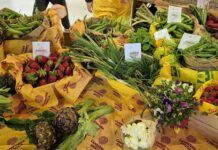 Coldiretti Calabria: italianità leader nel carrello della spesa. Filiera cibo vale 707 miliardi, in Calabria circa 3 miliardi