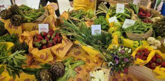 Coldiretti Calabria: italianità leader nel carrello della spesa. Filiera cibo vale 707 miliardi, in Calabria circa 3 miliardi