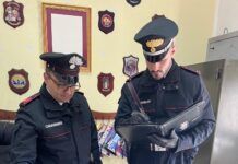 Droga in auto e in casa: denunciato un uomo per spaccio, sequestrata marijuana