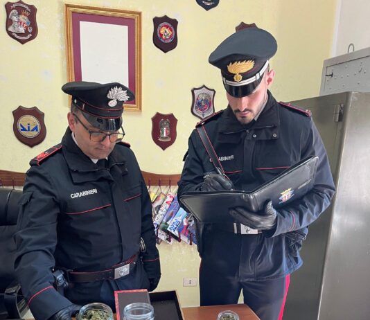 Droga in auto e in casa: denunciato un uomo per spaccio, sequestrata marijuana