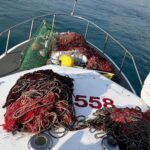 Pesca di frodo, la Guardia Costiera intensifica i controlli: sequestrati oltre 80 attrezzi illegali