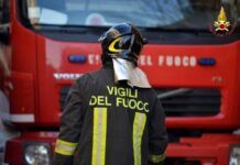 Tragedia nella notte sulla statale, muore una donna in un violento impatto con cavalli sulla carreggiata