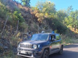 Incendio di sterpaglie lungo la Strada Provinciale – pensionato sanzionato dai Carabinieri, scattano i controlli anti-roghi estivi
