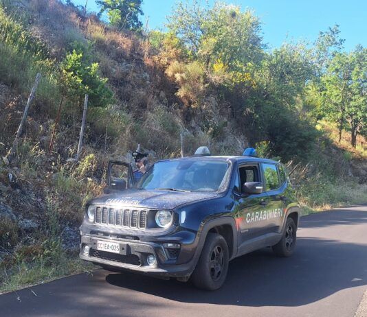 Incendio di sterpaglie lungo la Strada Provinciale – pensionato sanzionato dai Carabinieri, scattano i controlli anti-roghi estivi