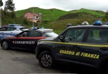 Focus Ndrangheta – Blitz interforze, controlli a tappeto: sanzioni e una denuncia