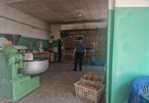Controlli dei NAS in un panificio: sanzioni per carenze igienico-sanitarie e deposito di legna nel laboratorio