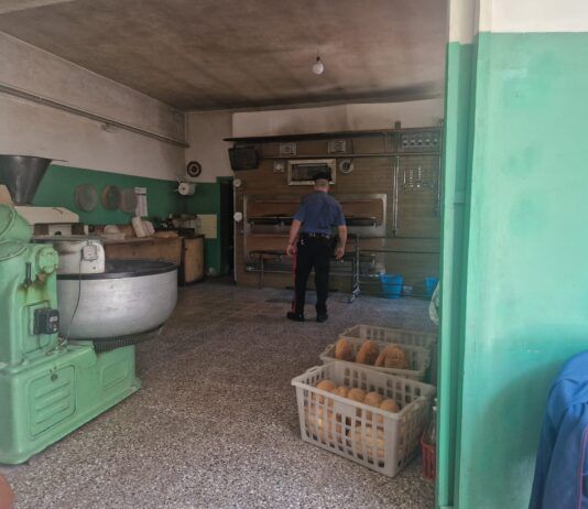 Controlli dei NAS in un panificio: sanzioni per carenze igienico-sanitarie e deposito di legna nel laboratorio