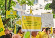 Coldiretti in piazza contro le speculazioni su olio e grano: sit-in anche a Cosenza