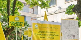 Coldiretti in piazza contro le speculazioni su olio e grano: sit-in anche a Cosenza
