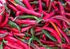 Peperoncino di Calabria IGP, Vocaturi esprime soddisfazione per il riconoscimento europeo