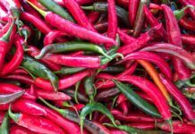 Peperoncino di Calabria IGP, Vocaturi esprime soddisfazione per il riconoscimento europeo