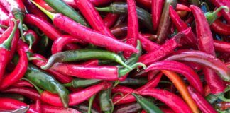 Peperoncino di Calabria IGP, Vocaturi esprime soddisfazione per il riconoscimento europeo