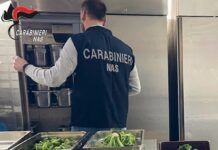 Controlli dei NAS in attività: sequestrati oltre 300 kg di alimenti, sanzioni superiori a 33 mila euro