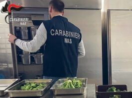 Controlli dei NAS in attività: sequestrati oltre 300 kg di alimenti, sanzioni superiori a 33 mila euro