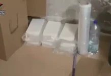 Blitz antidroga tra Lazio, Calabria e altre regioni: smantellata rete internazionale di cocaina, otto arresti
