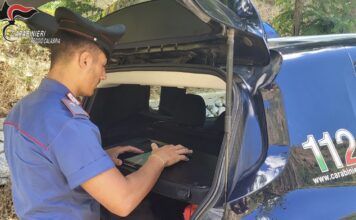 Villa San Giovanni: sequestrati oltre 22 kg di droga durante un controllo dei Carabinieri, arrestato autotrasportatore
