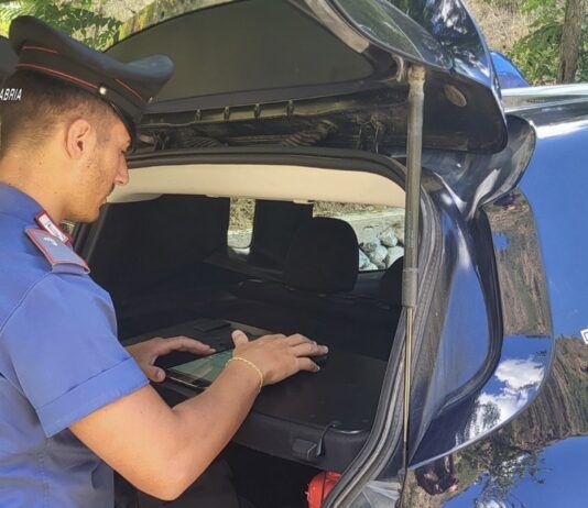Villa San Giovanni: sequestrati oltre 22 kg di droga durante un controllo dei Carabinieri, arrestato autotrasportatore