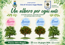 Un albero per ogni nato”: il Lions Club Polistena “Brutium” e il Comune di Terranova Sappo Minulio insieme per un futuro più verde e più umano