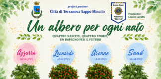 Un albero per ogni nato”: il Lions Club Polistena “Brutium” e il Comune di Terranova Sappo Minulio insieme per un futuro più verde e più umano