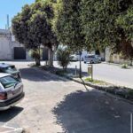 Rosarno, interrogazione della minoranza sull’abbattimento degli alberi in piazza Mastrilli: chiesti chiarimenti a Sindaco e Giunta