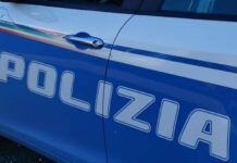 Scoperta una piantagione di papavero da oppio: sequestrate 500 piante già mature